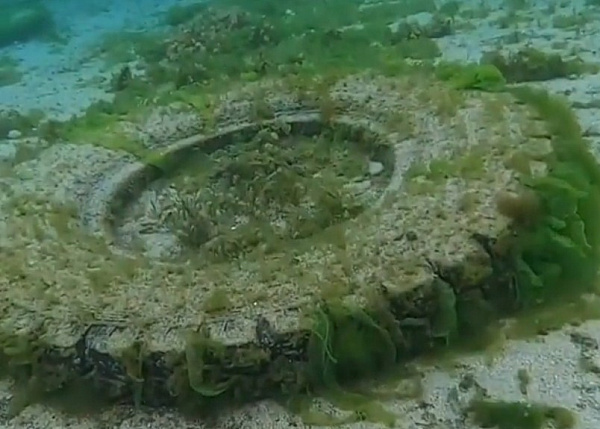 �����: �� ��� ������� ������� 450 �� ��������