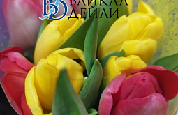 ������� � ����� ���� ������� ��������