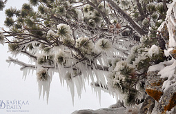 ������ � ������: ����� � ������������ �������