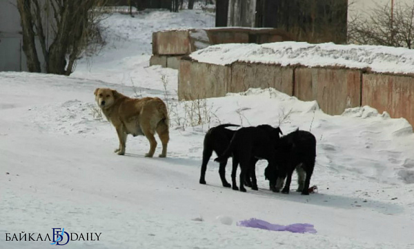 � ������� �������� �������� ������� 