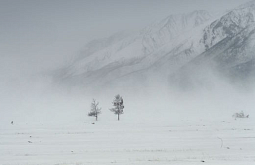 �� ������� ����������� ����� ��������