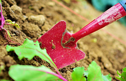 � ������� ��������� ������ ������������� ���������