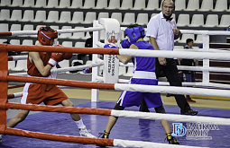 В Забайкалье состоится межрегиональный турнир по боксу 