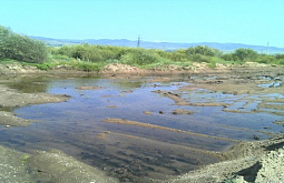 � ������� ���������� ���������� ������ ������ 