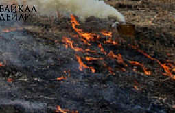 � ����-��� �������� ����� �����