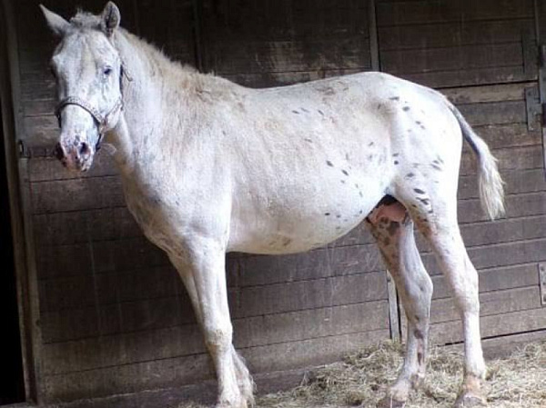 ������������� ������� ������� ������� ������ � ��������