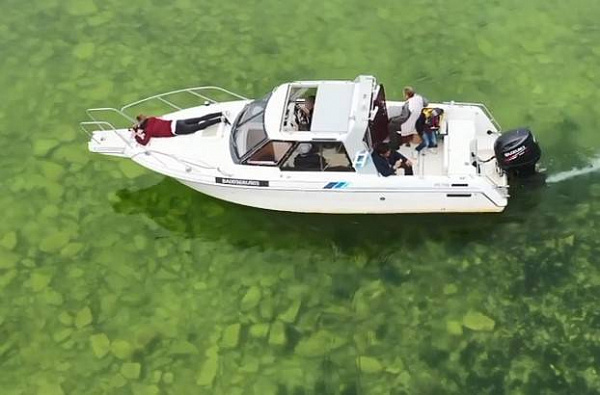 � ������� ����� � ����������� �������� ����