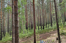 �� ������ ������� �� �������� ���� ����� ������� �����������