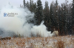 ������� ��������� � ���������� ������