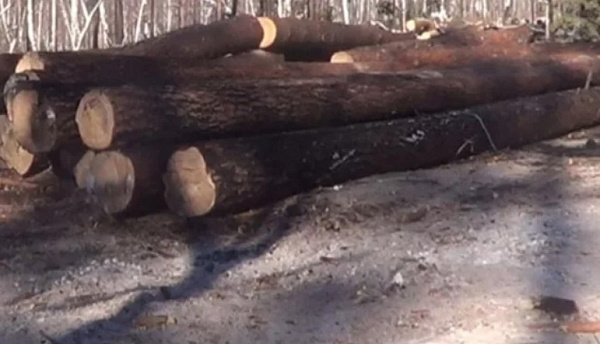 � ������� ���-��������� ������� ����� ��������� �� ��������� 