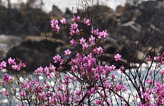 ������� ����� � ��� ��������, ��� ����� �������� �������������