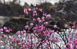 ������� ����� � ��� ��������, ��� ����� �������� �������������