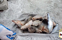 � ���������� ������� ������ ������� � 2700 ��������