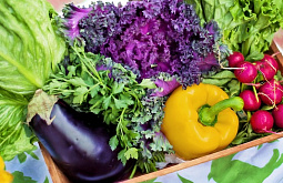 � ������� � 3% ������ ��������� ����� ��������