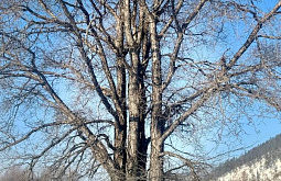 � �������������� ������ ������� ����� �������� ��� 