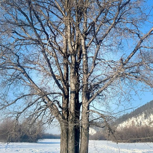 � �������������� ������ ������� ����� �������� ��� 