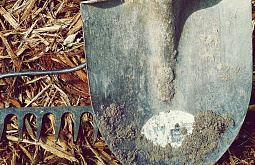 � ������� ����� ������ ������� ���������� ������ 