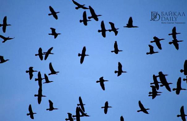 ���������� � ��������� ������ �� �������� ���������� �� ��������, ������� �� � ����������