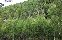 � ��������� ������� �������� �������� 15 ��� ������