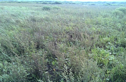 � ������� ����� �������� ��������� ��������� �������������� 