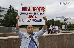 � ������ ����-��� ������ ����� � ������ �������. ������������