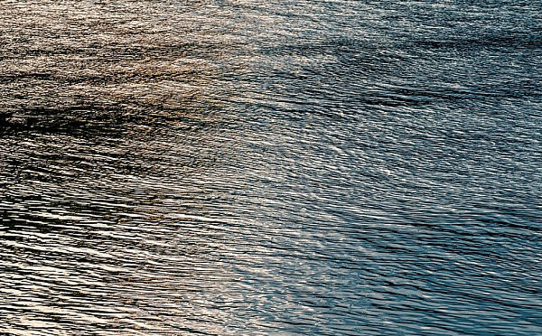 � ������� ����� ����� �� ����, ���� �������� ��������������� ����