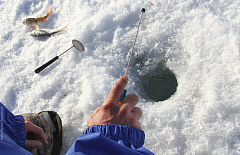 �� ������ ������� ������� ���� � ����� �����