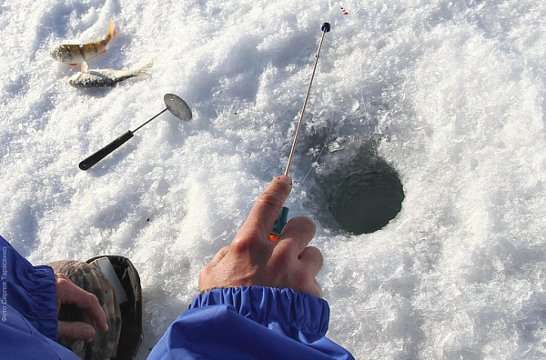 �� ������ ������� ������� ���� � ����� �����