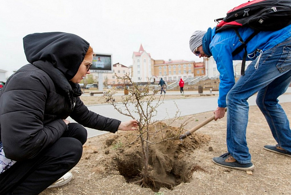 � ����-��� �������� ��������� ���