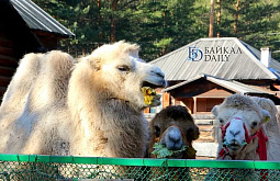 ������� ���������������� ����� � ����-��� ������� ��������