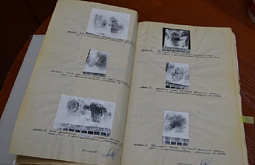 ������ ������� ����� ������ �� ��������������� ��� �������� � ������� ������������ 23-������� �����