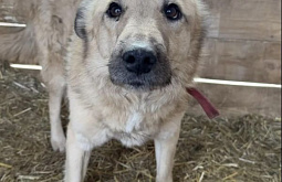 ������ �������� ����� �� ������� � ������ �� ��������