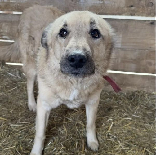 ������ �������� ����� �� ������� � ������ �� ��������