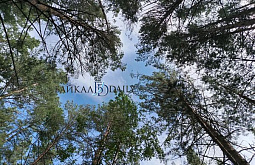 ������� ����� ������� � ������ �� ��������� ����� �� ����������