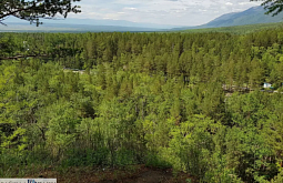 � ������� �� ���� ����� ������ ���� � ����� ���������� ������