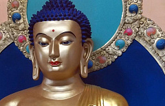 �������� ���� ������� 10 ��� �� �������� � ��������