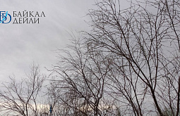 � ������� ������ �������� � ��������������� ����������