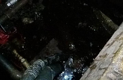 � ���� ������� �������� ���� ��������� ��� ��������