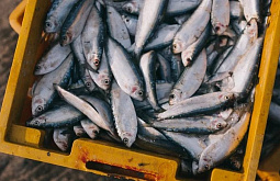 ��������� � ����-��� ������� ��������� �� ������������ ����