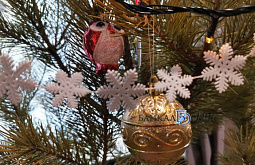 ������� ������� ������ ������ � ��������� ��� �����, ���������� 31 ������� � �������� 