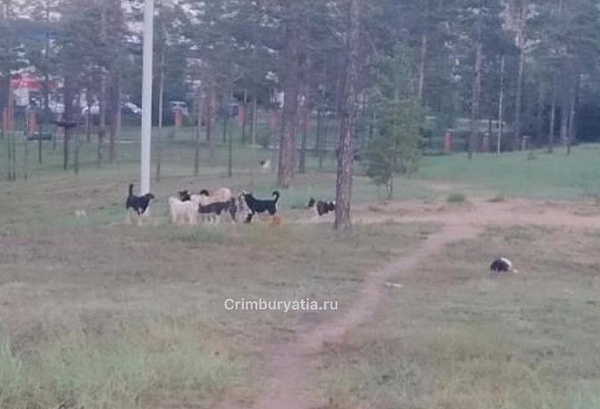 � ����-��� ���� ����� ������������� �������� � ����� 