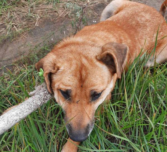 � ����-��� � ���� ����� �������� 11 �����