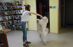 � ����-��� ��� ��������� ����� �������� ������� � ������� 