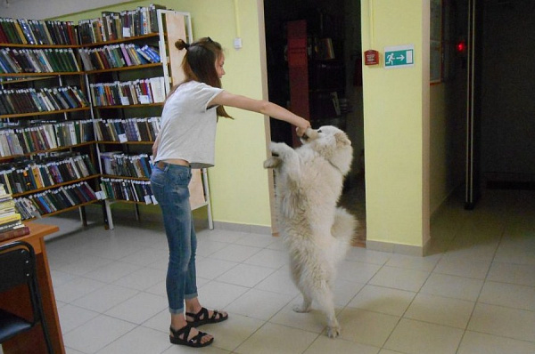 � ����-��� ��� ��������� ����� �������� ������� � ������� 