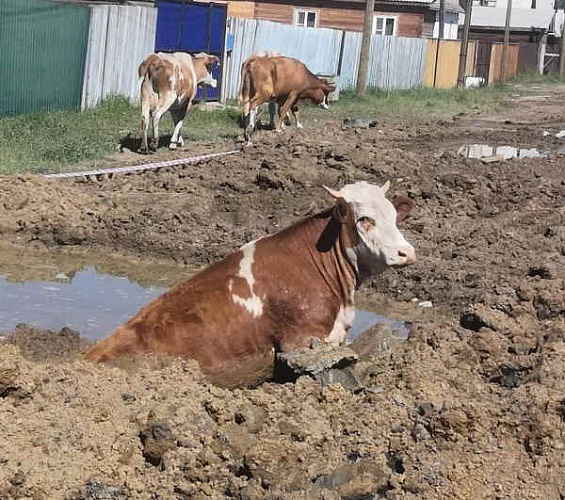 � ������� ������ �������� � ����� 