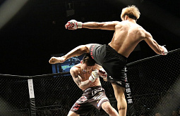 � ������� �� ������ ��� Fight Nights Global ��������� ����� ������� ��������