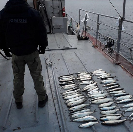 ���� ����� ����������� �� ������� 