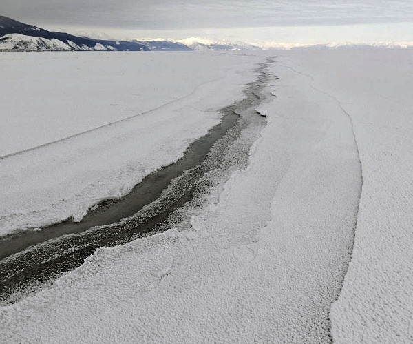 �� ������ ������� ��������� �������