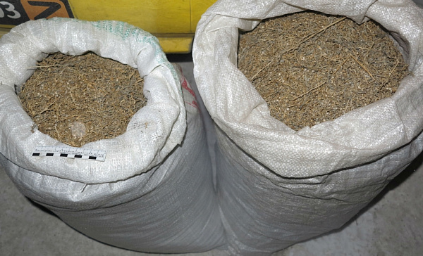 ������� ������ � ���-10 �������� �������������� ������ ������