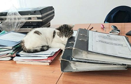 � ������� ���������� � �������� ����� ����� 